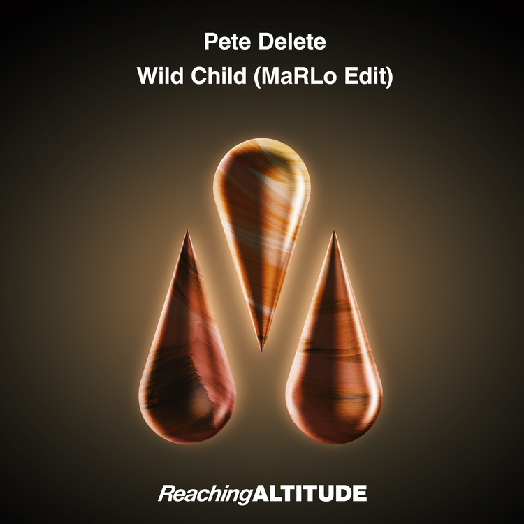 Pete Delete's avatar image