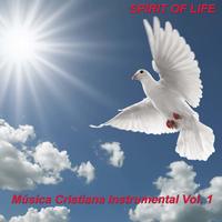 Sprit Of Life's avatar cover
