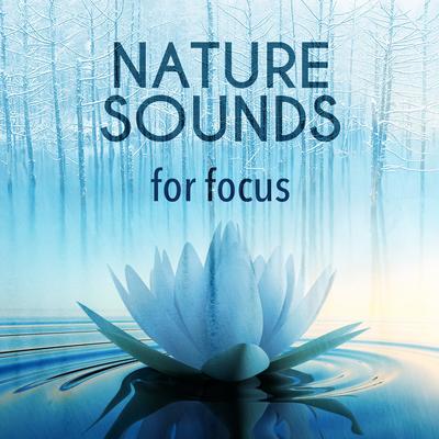 Exam Study Nature Music Nature Sounds's cover