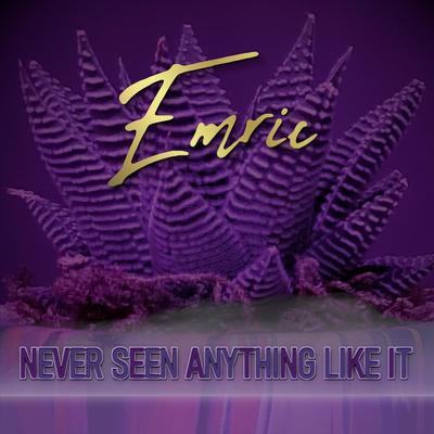Never Seen Anything Like It By Emric's cover