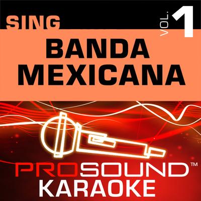 No Te Podias Quedar (Karaoke with Background Vocals) [In the Style of Conjunto Primavera]'s cover