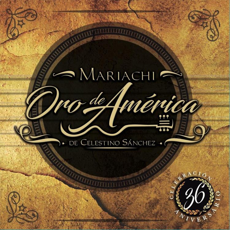 Mariachi Oro de América de Celestino Sánchez's avatar image