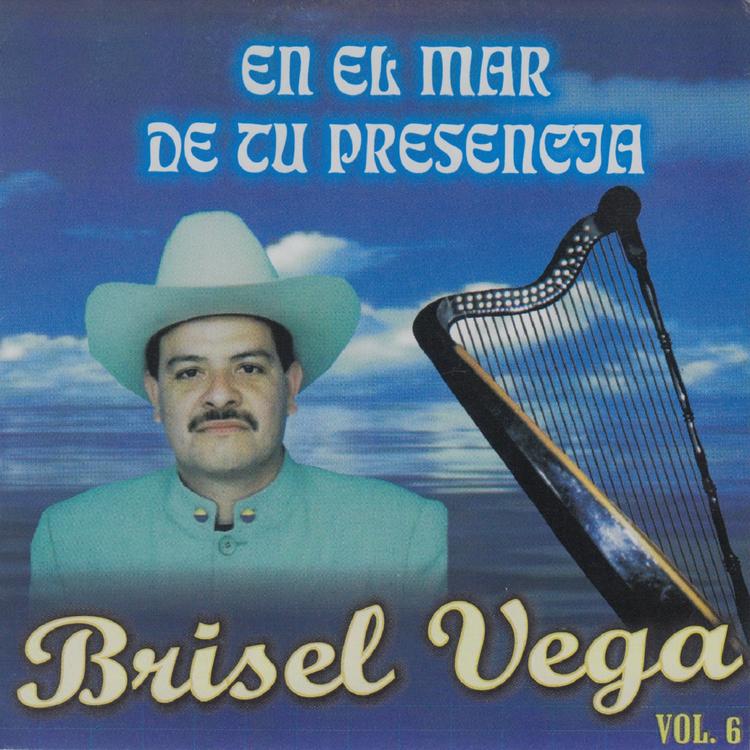 Brisel Vega's avatar image