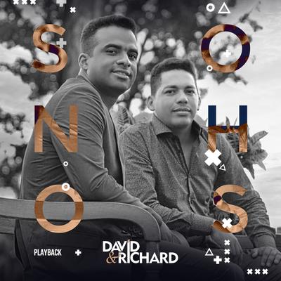 Desistir Jamais (Playback) By David e Richard's cover