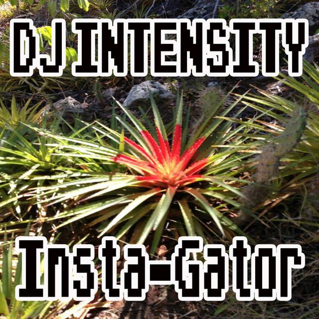 DJ Intensity's avatar image