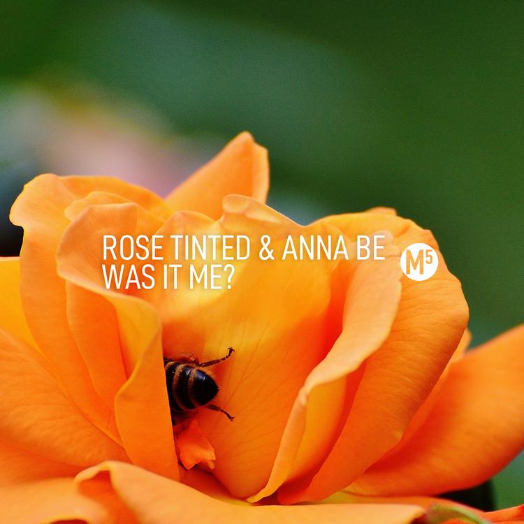 Rose Tinted & Anna Be's avatar image