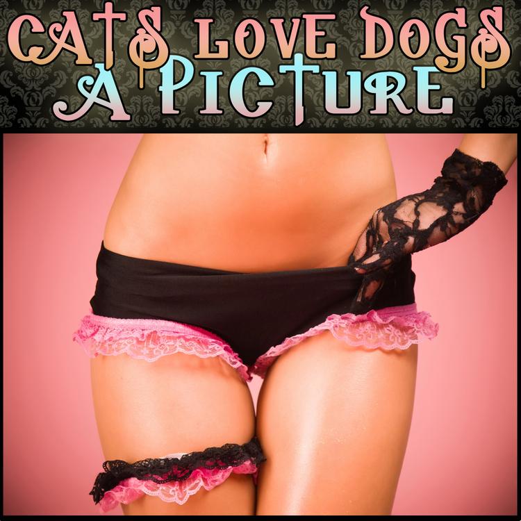 Cats Love Dogs's avatar image