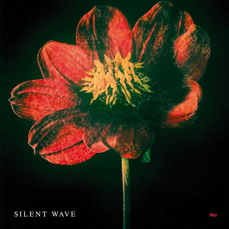 Silent Wave's avatar image