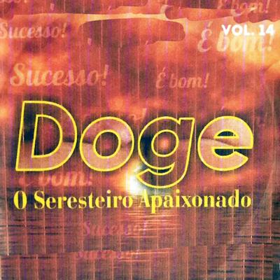 Não Devo Mais Ficar (Ao Vivo) By Doge's cover