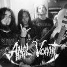 Anal Vomit's cover