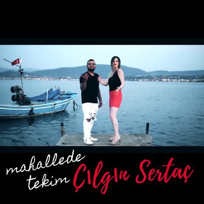 Mahallede Tekim (Roman Havası) By Çılgın Sertaç's cover