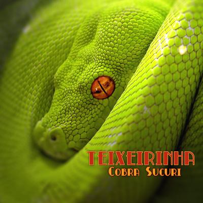 Cobra Sucuri By Teixeirinha's cover