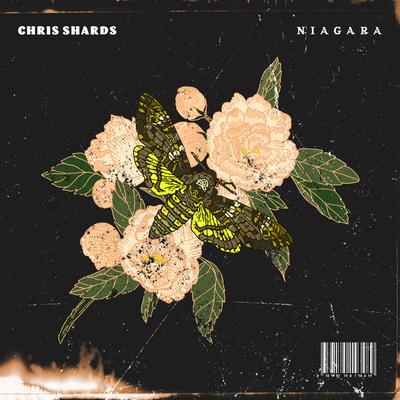 Chris Shards's cover
