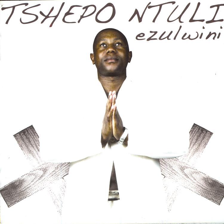 Tshepo Ntuli's avatar image