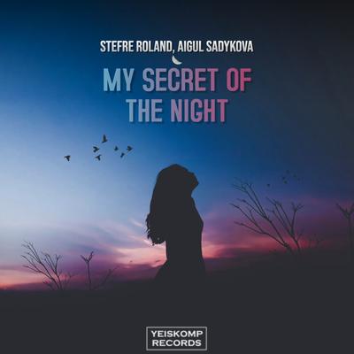 My Secret Of The Night (Original Mix) By Aigul Sadykova, Stefre Roland's cover