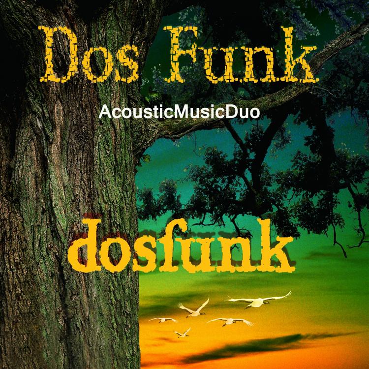 Dos Funk's avatar image