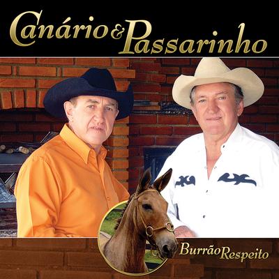 Burrão Respeito By Canario E Passarinho's cover