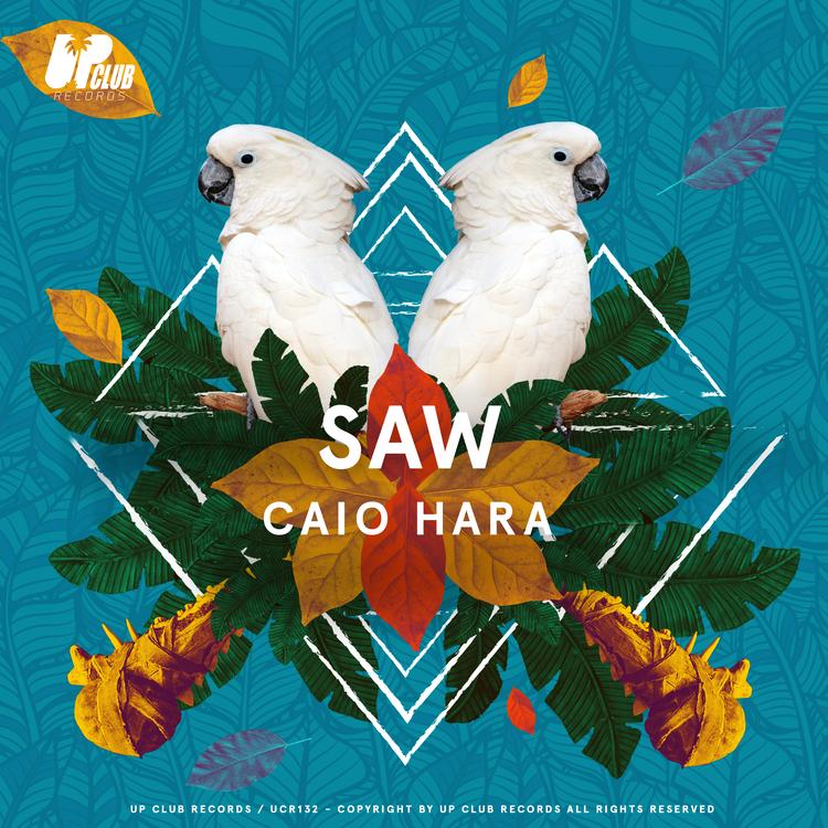 Caio Hara's avatar image