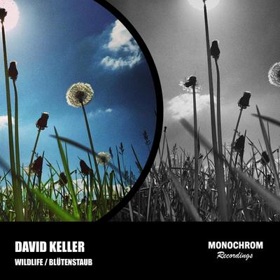 Wildlife By David Keller's cover