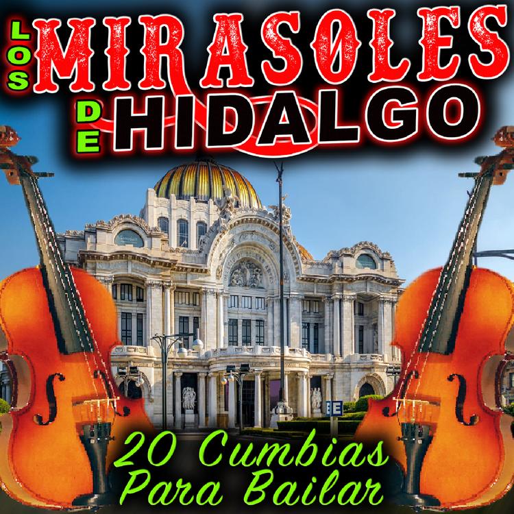 Los Mirasoles De Hidalgo's avatar image