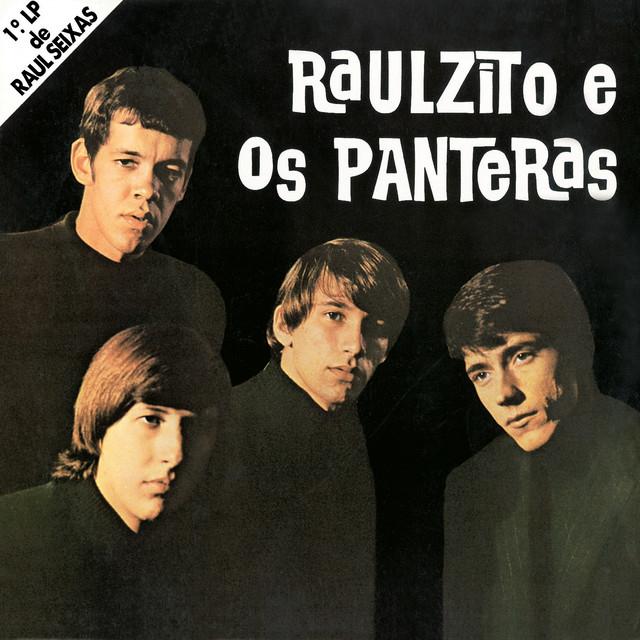 Raulzito E Os Panteras's avatar image