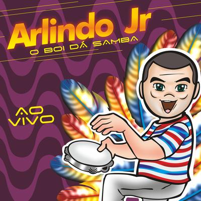 Vermelho (Ao Vivo) By Arlindo Junior's cover