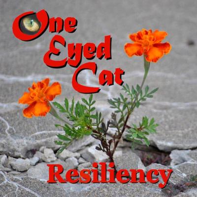 One Eyed Cat's cover