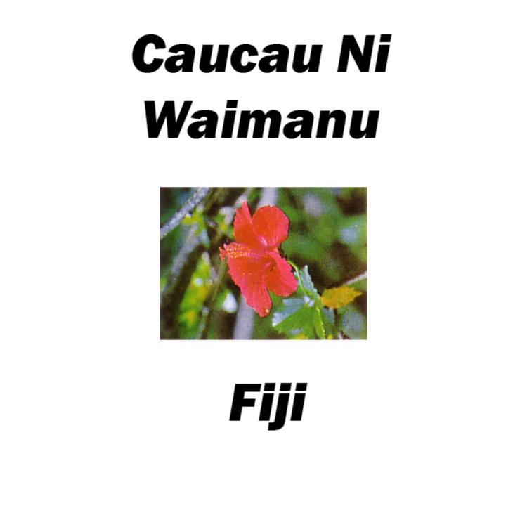 Caucau Ni Waimanu Fiji's avatar image