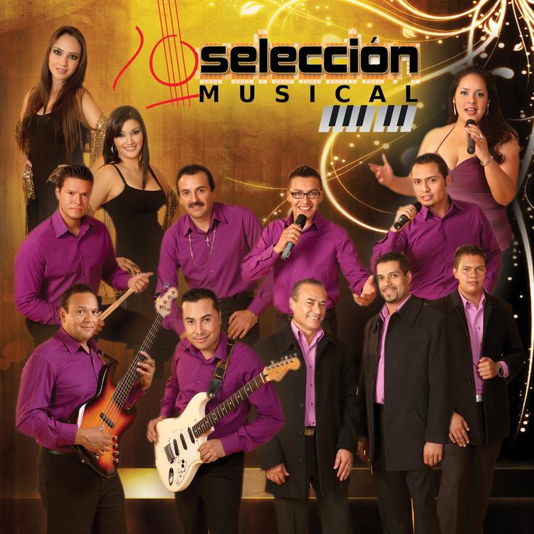 Seleccion Musical's avatar image