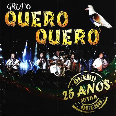 Diário de um Fronteiriço (Ao Vivo) By Grupo Quero-Quero's cover