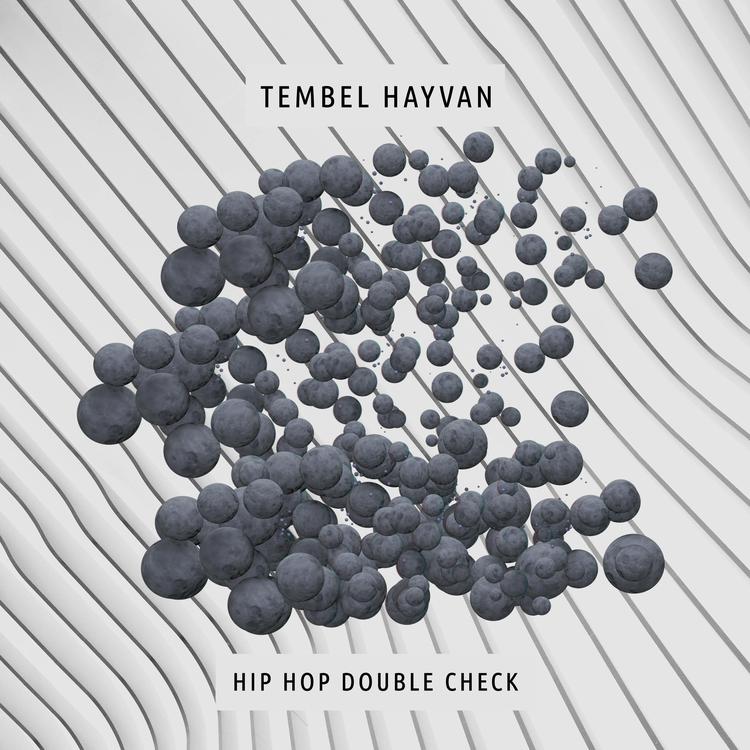 Tembel Hayvan's avatar image