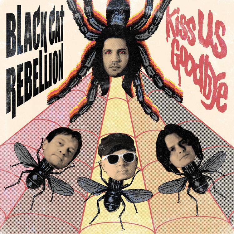 Black Cat Rebellion's avatar image