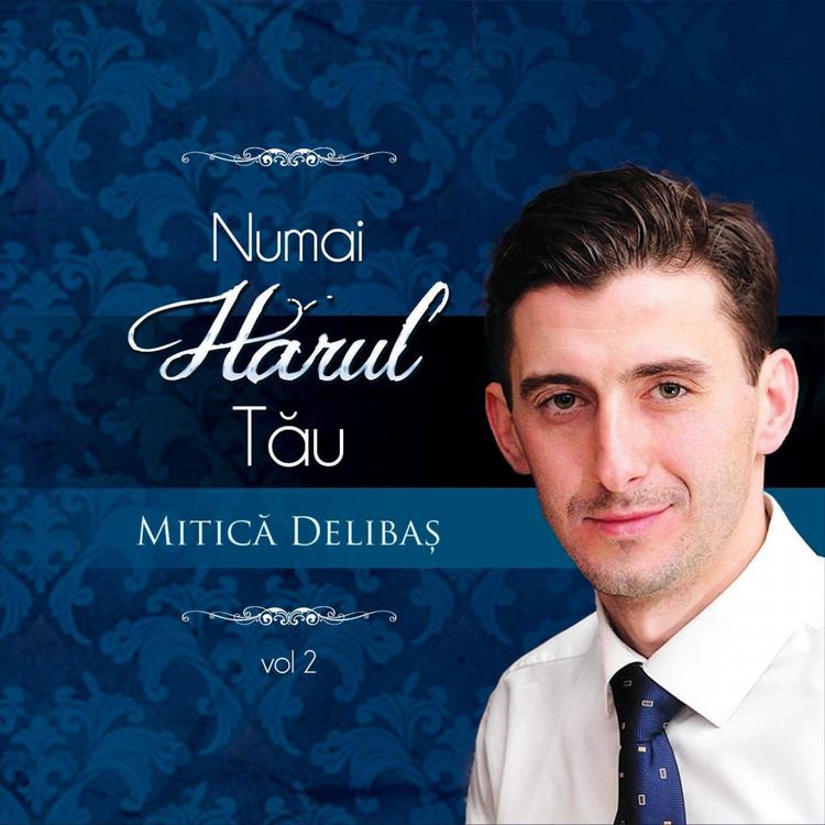 Mitică Delibaș's avatar image