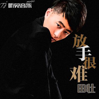 放手很难 (伴奏)'s cover