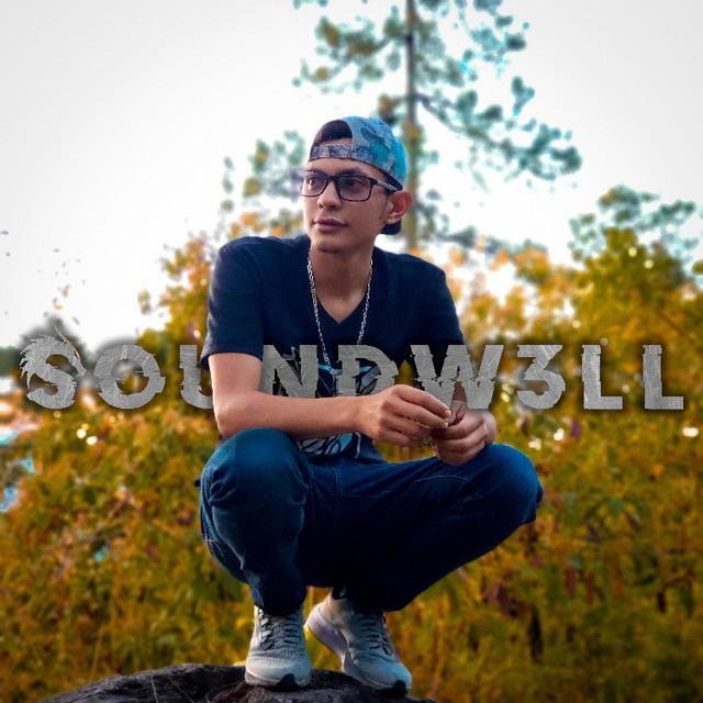 SoundW3ll's avatar image