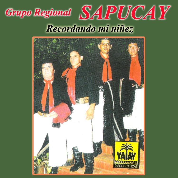 Grupo Regional Sapucay's avatar image