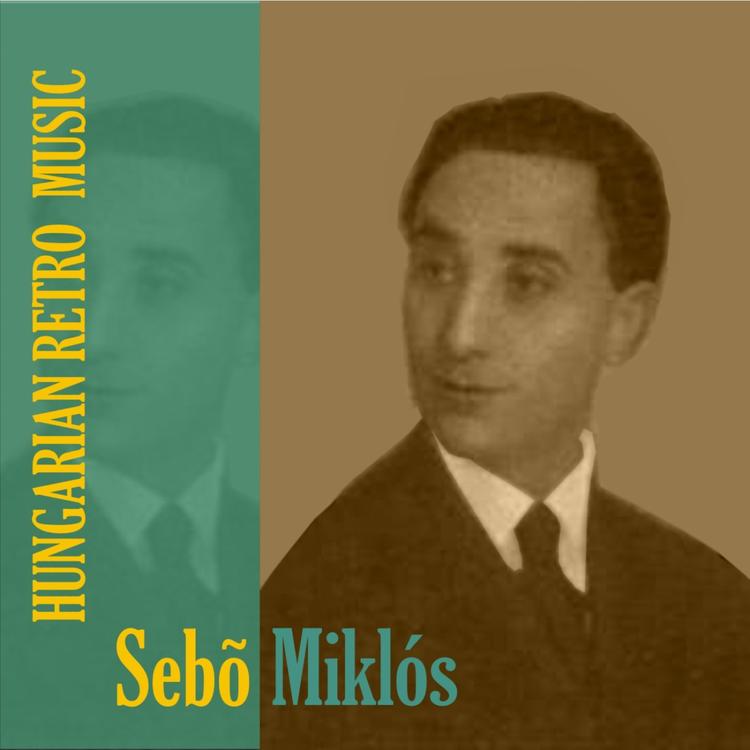 Sebo Miklos's avatar image