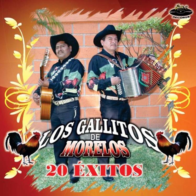 Los Gallitos de Morelos's avatar image