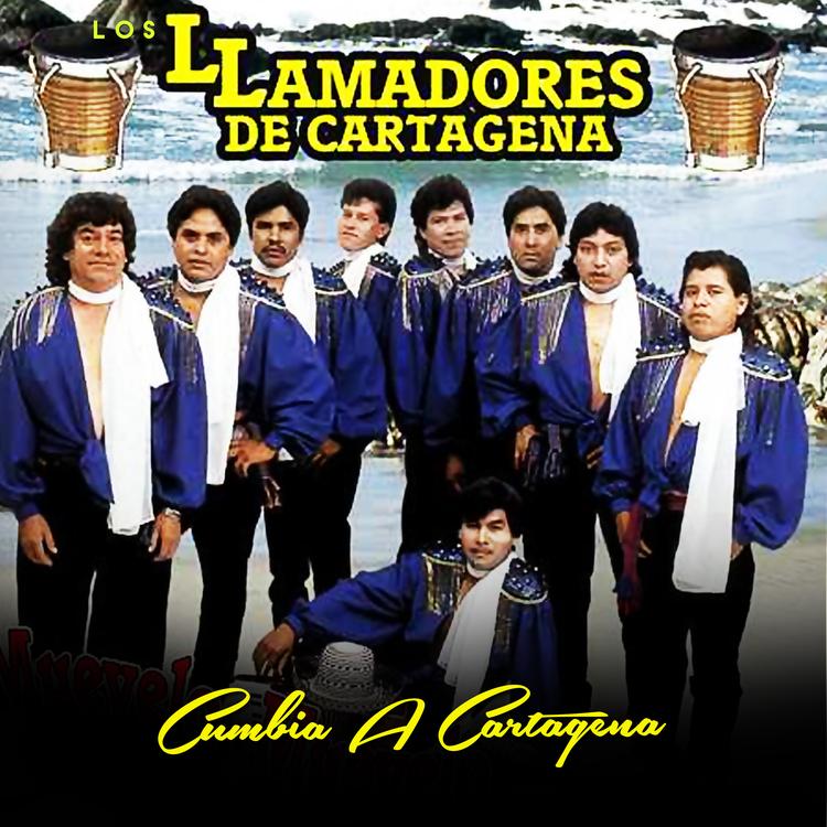 Los Llamadores de Cartagena's avatar image