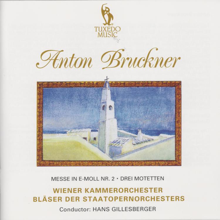 Wiener Kammerorchester's avatar image