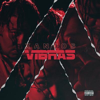 Vibras's cover