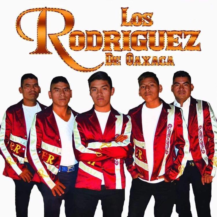 Los Rodriguez de Oaxaca's avatar image