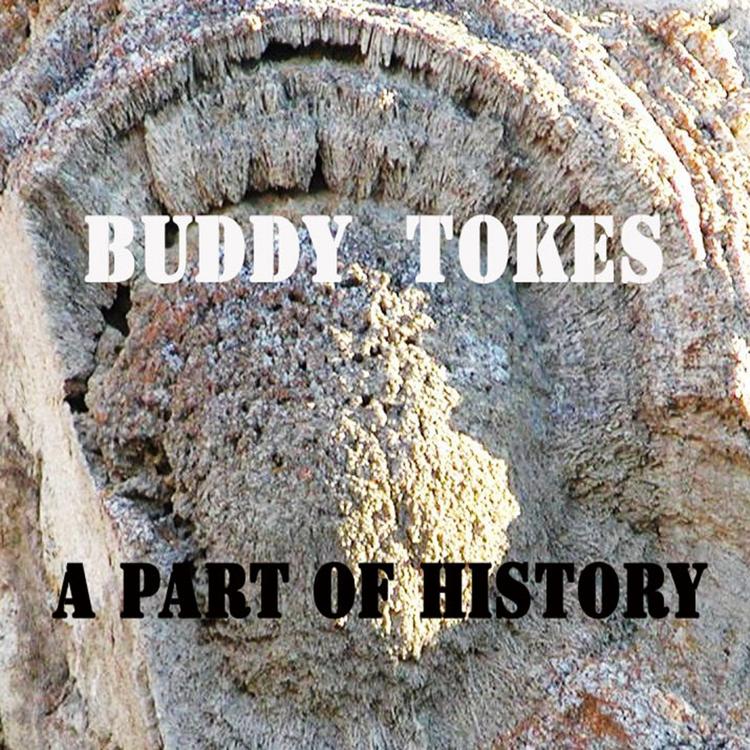 Buddy Tokes's avatar image