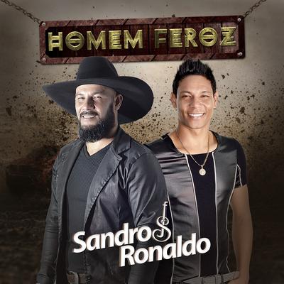 Paixão e Nada Mais By Sandro & Ronaldo's cover