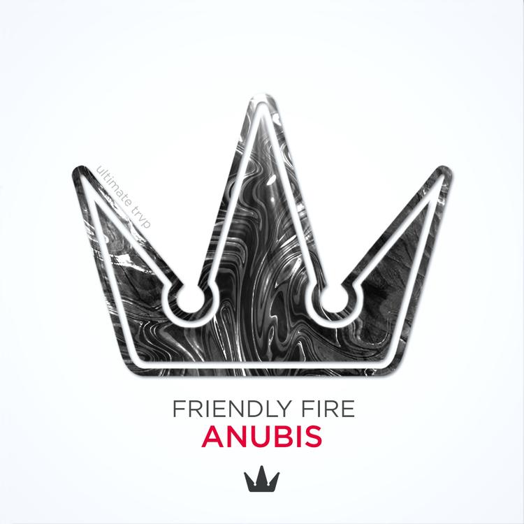 Friendly Fire's avatar image