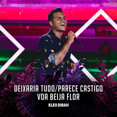 Deixaria Tudo / Parece Castigo / Voa Beija-Flor (Ao Vivo) By Kleo Dibah's cover