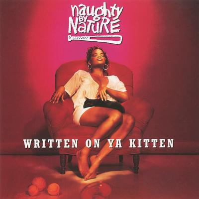 Written on Ya Kitten (Q-Funk Radio Edit) By QD III, Naughty by Nature's cover