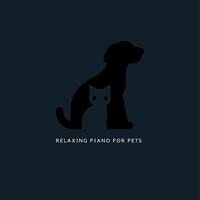 Relaxing Piano For Pets's avatar cover