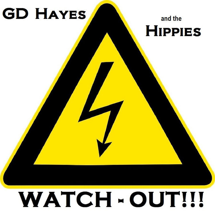 GD Hayes & The Hippies's avatar image