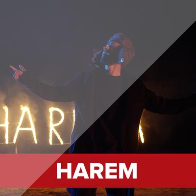 Harem By Young Zerka's cover